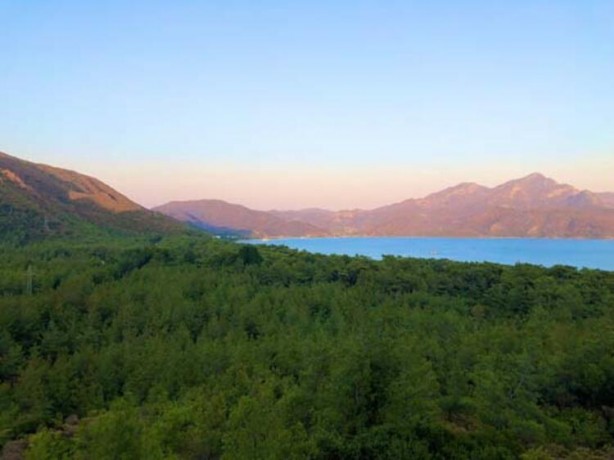 Foto - Yanan ormanların içinde takibe aldılar! Sırrı çözmeye çalışıyorlar
