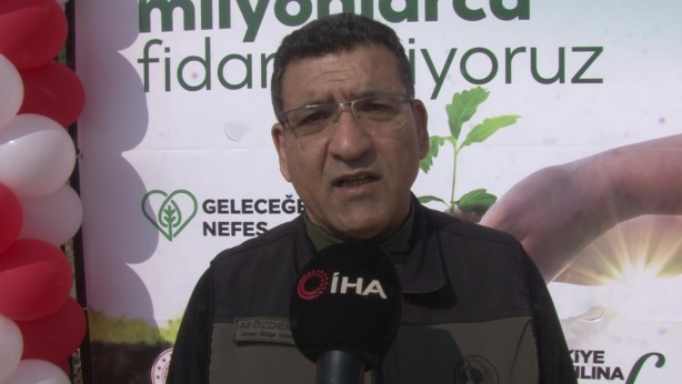 Foto - Yanan ormanlık alanlar yeşilleniyor
