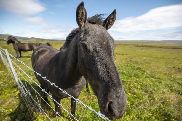 Foto - Yanardağ ve şelalelerin ülkesi! Nefes kesen güzellikler