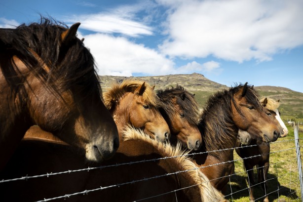 Foto - Yanardağ ve şelalelerin ülkesi! Nefes kesen güzellikler