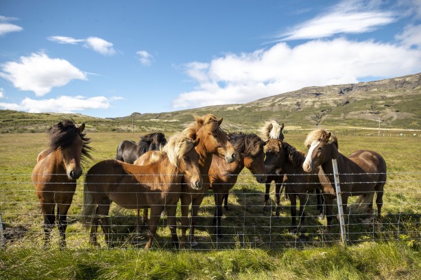 Foto - Yanardağ ve şelalelerin ülkesi! Nefes kesen güzellikler