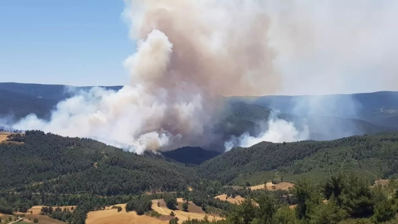 Foto - Yangın Bilecik'e sıçradı İstanbul'a geliyor!
