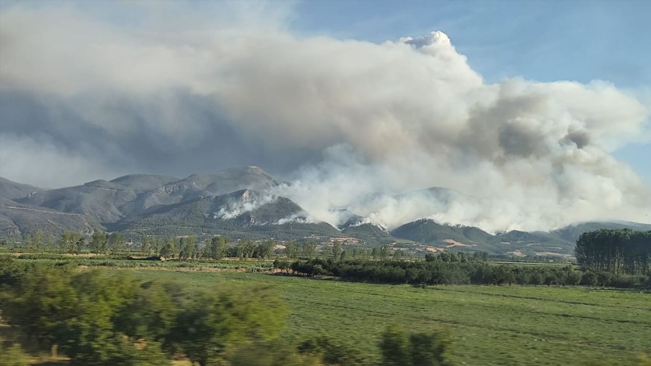 Yangın Bilecik'e sıçradı İstanbul'a geliyor!