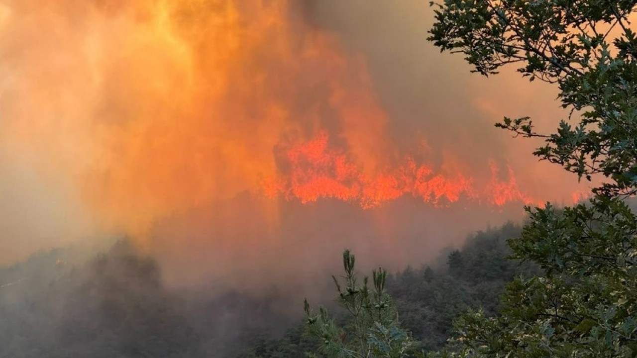 Foto - Yangın Bilecik'e sıçradı İstanbul'a geliyor!