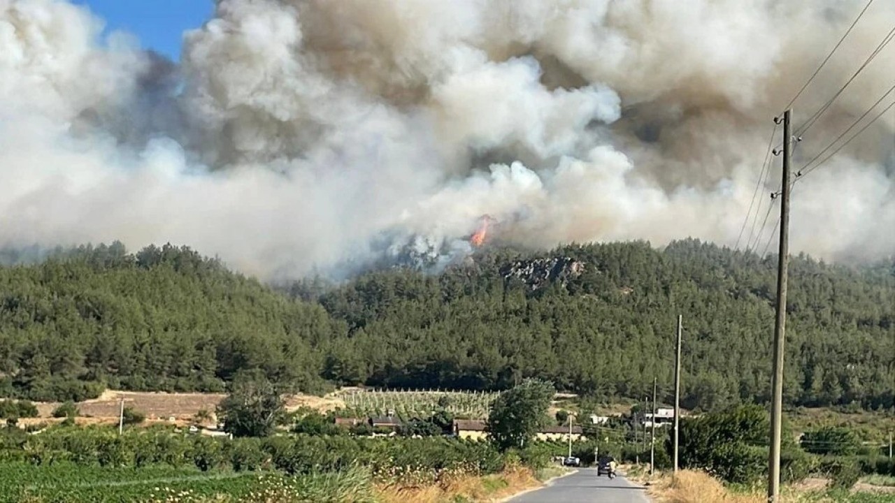 Foto - Yangın Bilecik'e sıçradı İstanbul'a geliyor!
