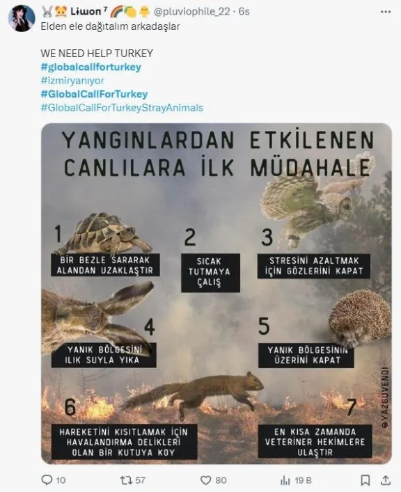 Foto - Yangın istismarcıları! Amaç Türkiye'yi aciz göstermek