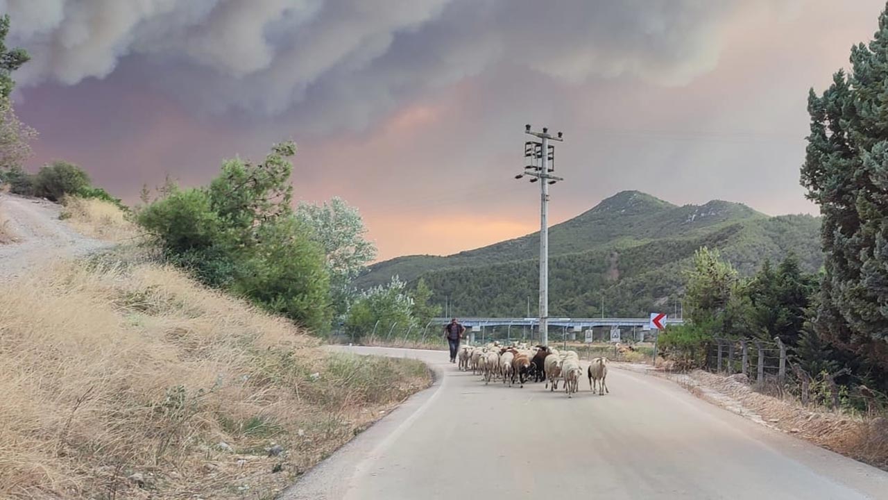 Foto - Yangın kabusu büyüyor! Alevler köylere kadar ulaştı
