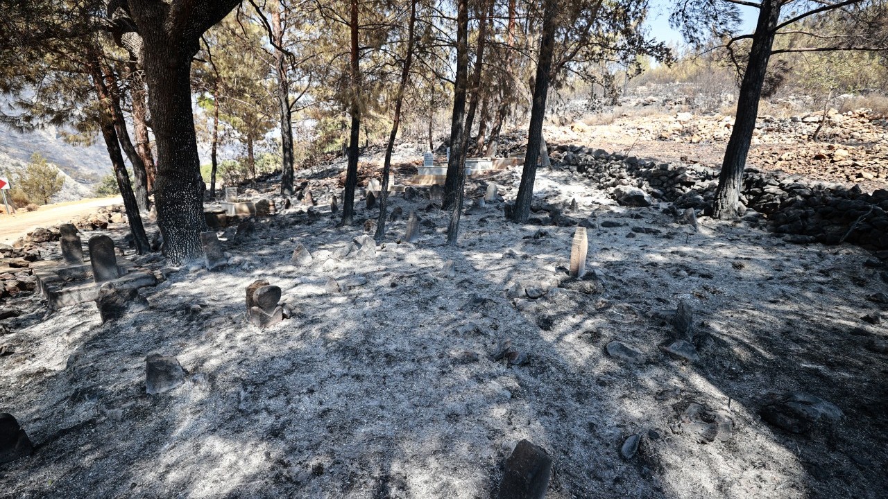 Foto - Yangın Mersinlilere çifte acı yaşattı
