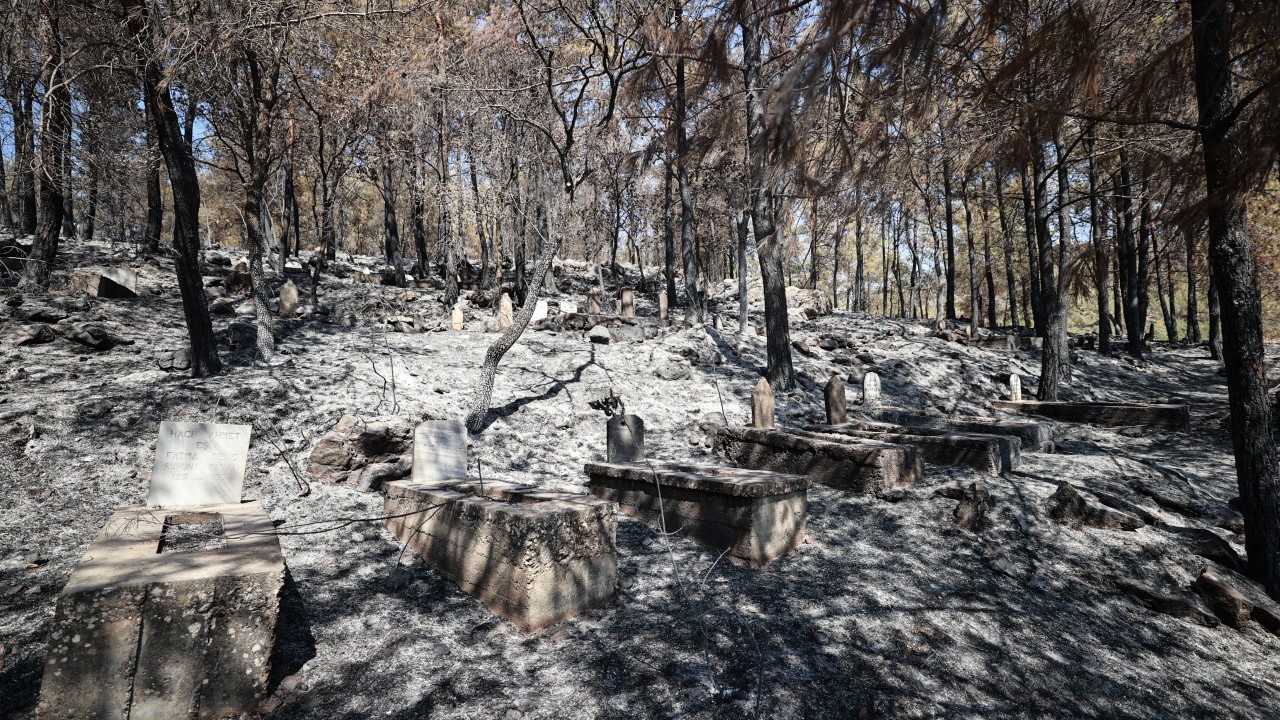 Foto - Yangın Mersinlilere çifte acı yaşattı