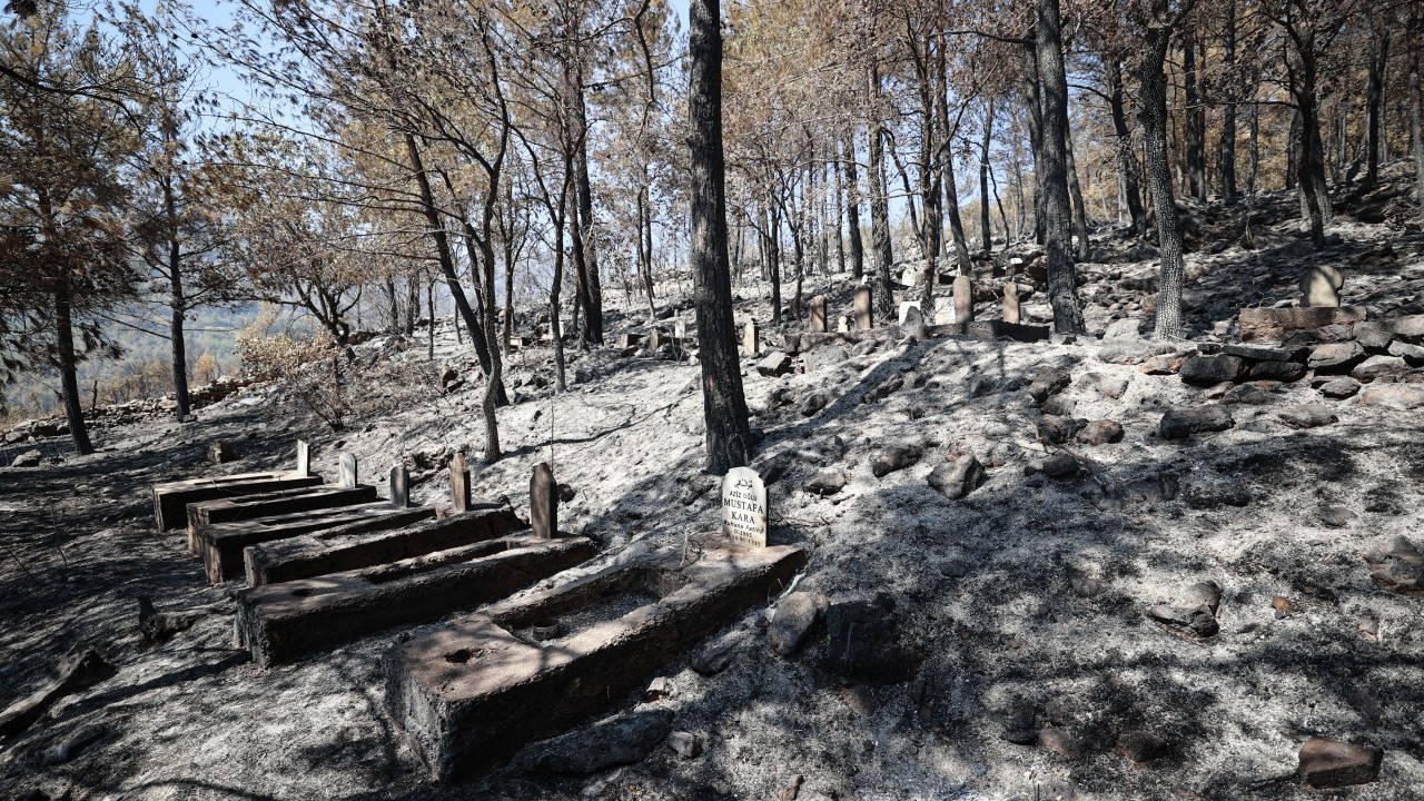 Foto - Yangın Mersinlilere çifte acı yaşattı