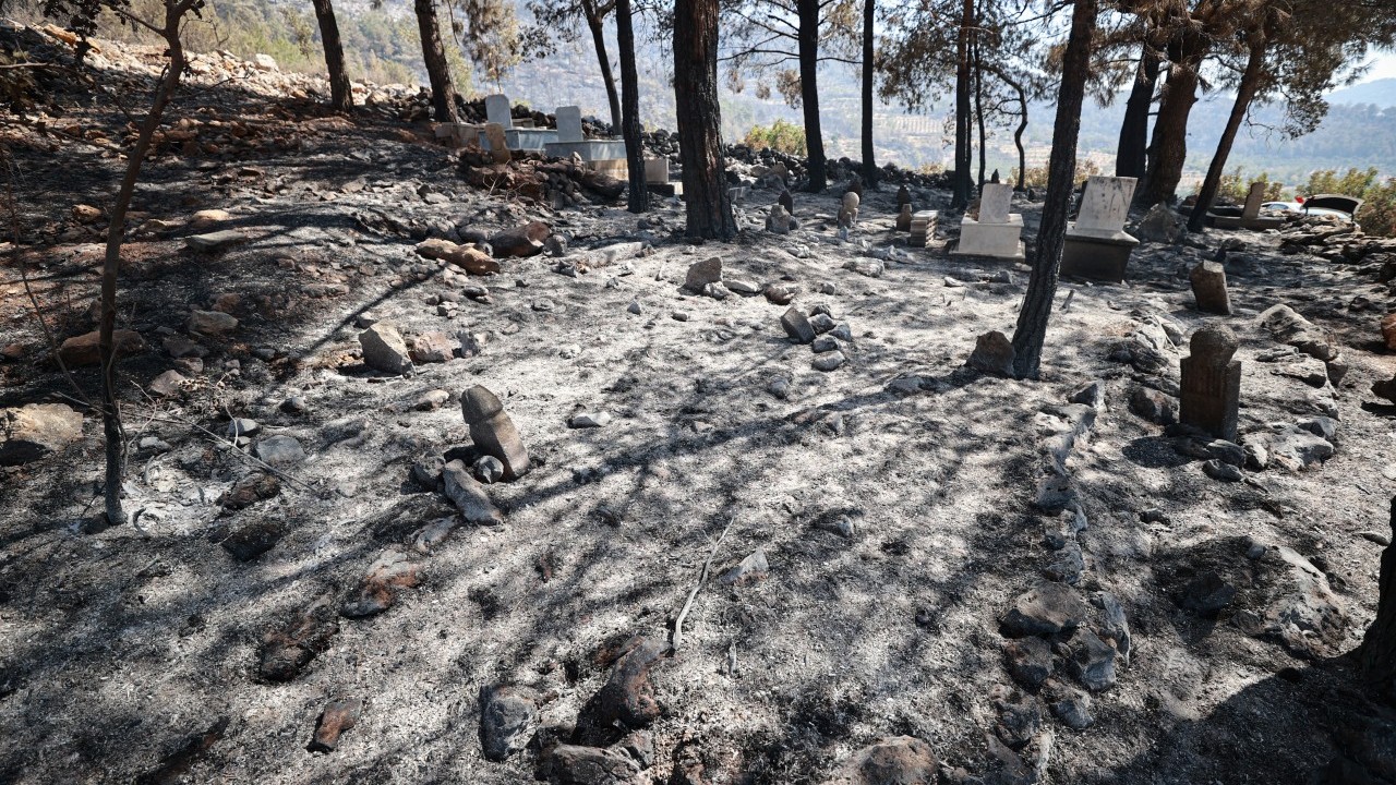 Foto - Yangın Mersinlilere çifte acı yaşattı