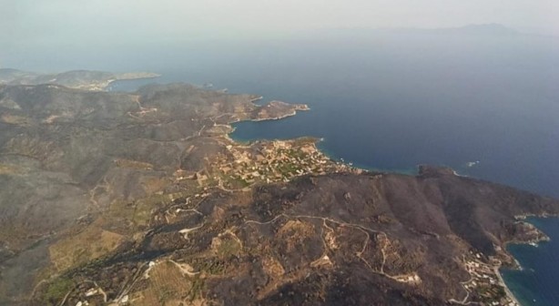 Foto - Yangın sonrası acı görüntü!