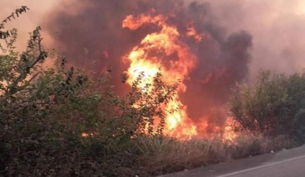 Foto - Yangın sonrası dikkat çeken görüntü! Alevler onlara sıçramadı