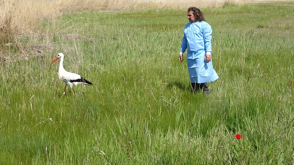 Foto - Yangının izleri silinmeye başladı