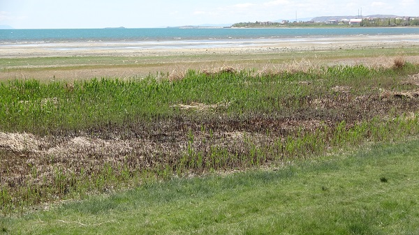 Foto - Yangının izleri silinmeye başladı