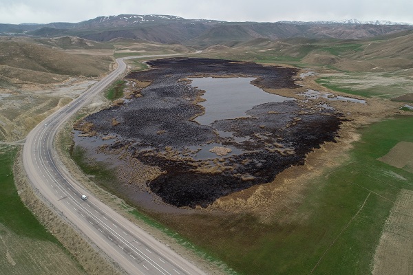 Foto - Yangınlar kuşların yaşam alanlarını daralttı
