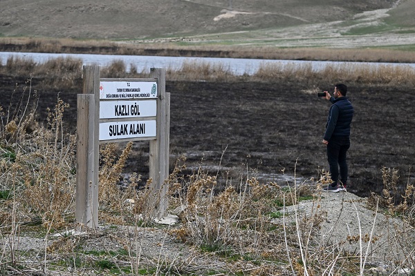 Foto - Yangınlar kuşların yaşam alanlarını daralttı
