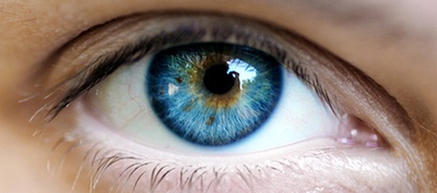 Foto - Yanlış biliyorsunuz!