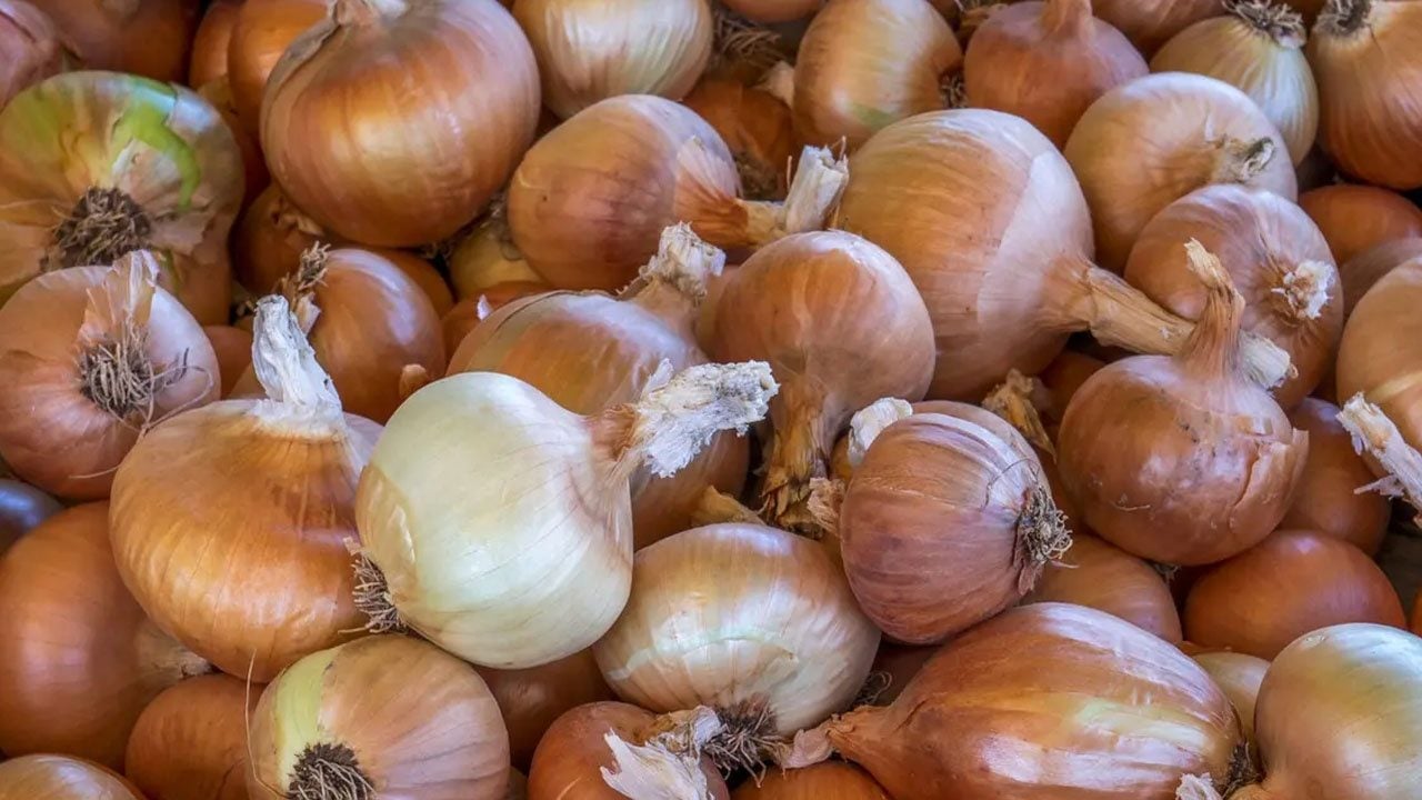Yanlış yapıyormuşuz: Buzdolabında sakladığınız halde daha çabuk bozulan yedi yiyecek