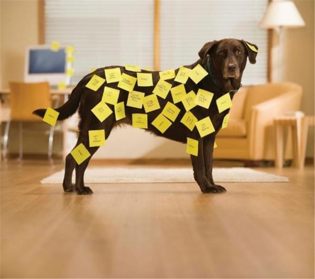 Yanlışlıkla icat edilen şeyler