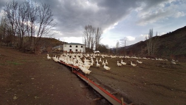 Foto - 'Yapamazsın, kim alır' diyorlardı, şimdi taleplere yetişemiyor