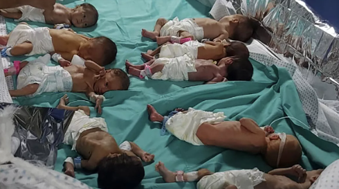 Foto - Yapay Zeka değil! Şeytani Zeka Her şeyi biliyor ama soykırımdan haberi bile yok