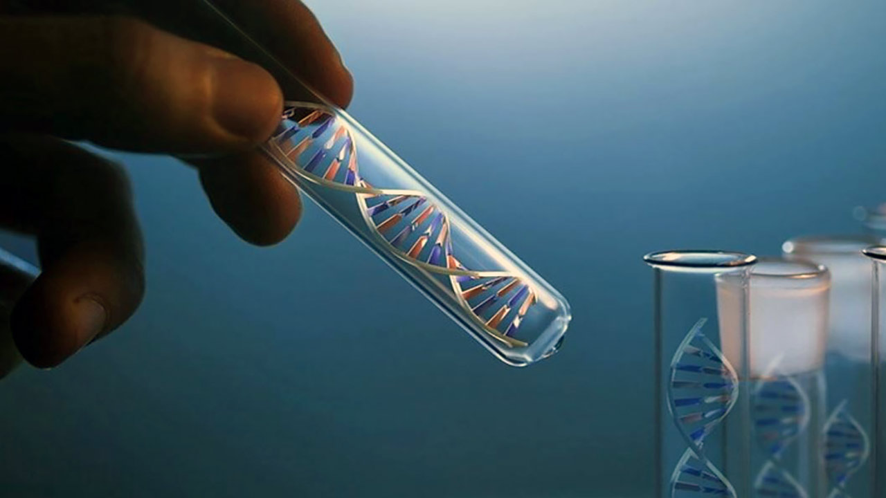 Yapay zeka ile insan ömrünü uzatmanın peşine düştüler