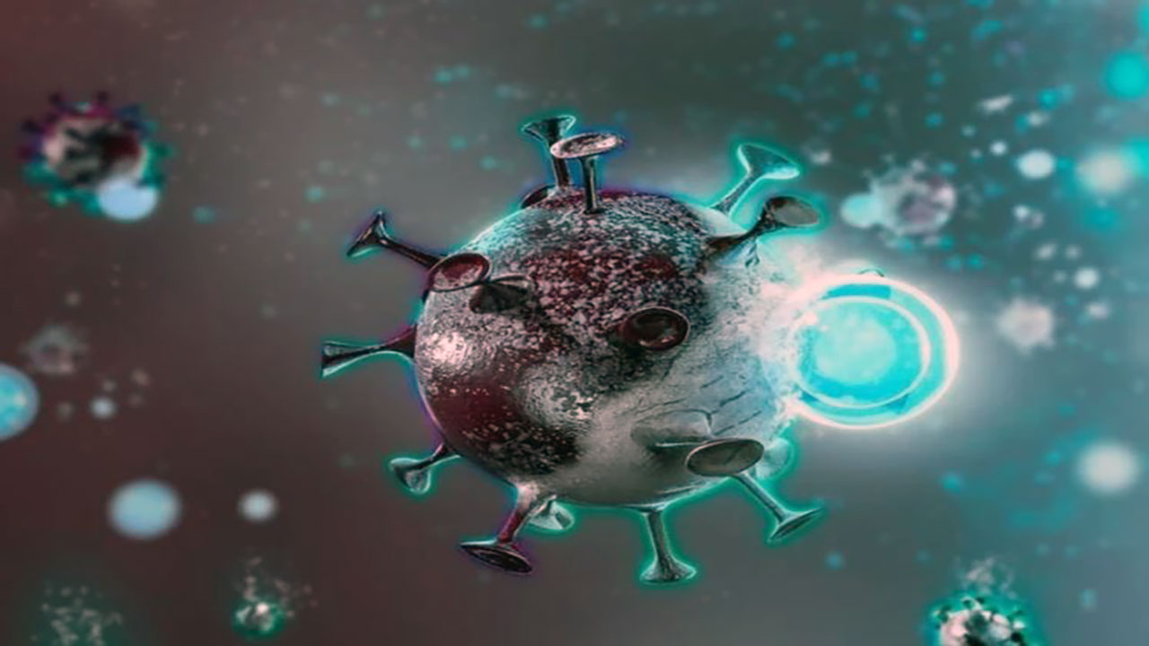 Foto - Yapay zekayla yaklaşık 162 bin yeni virüs türü keşfedildi