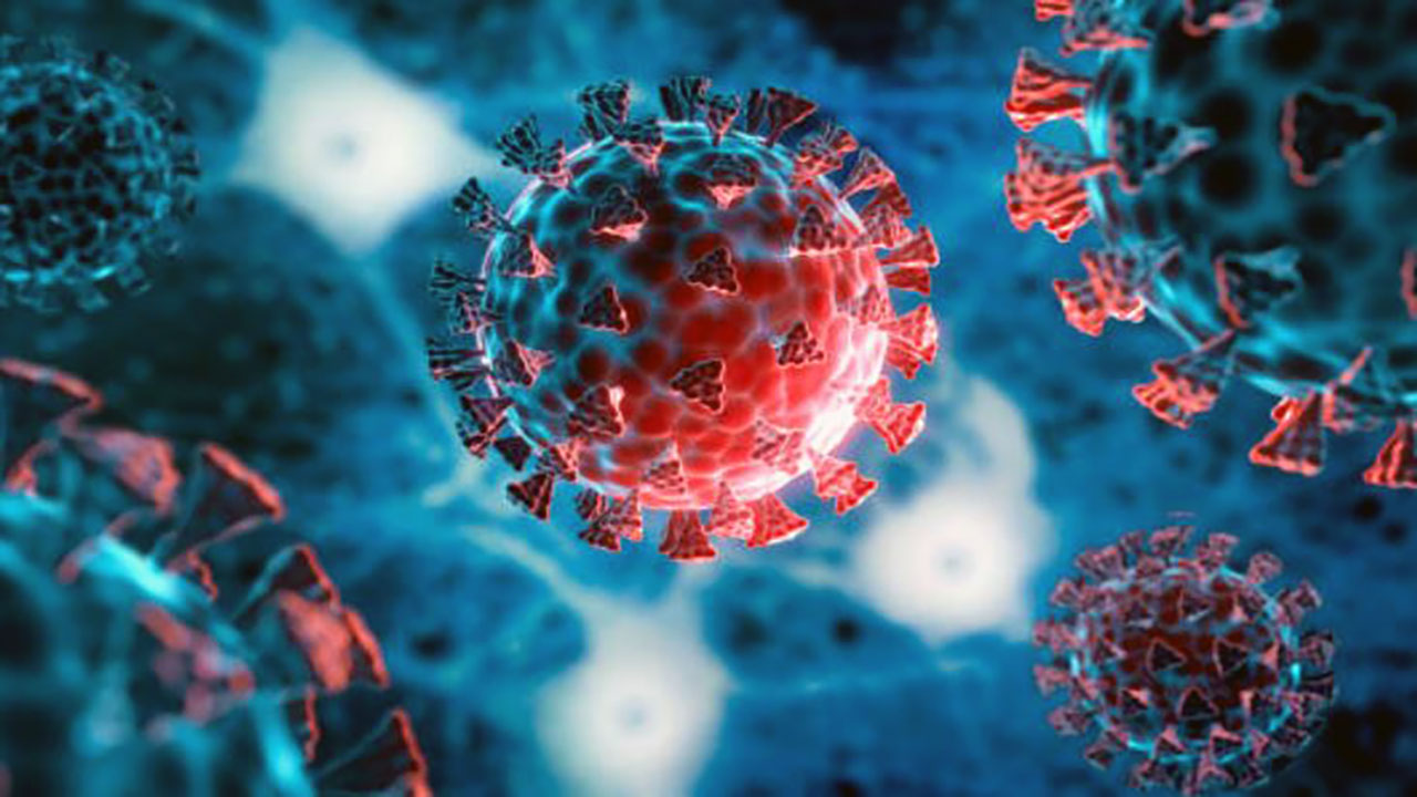 Foto - Yapay zekayla yaklaşık 162 bin yeni virüs türü keşfedildi