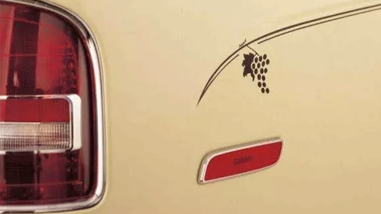 Foto - Yapay zela bile ona bir şey yapamaz: Tek başına çalışıp Yüzbinlerce dolar kazanıyor!