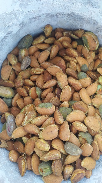 Foto - Yapılamaz denileni yaptı! Tam 10 yıl sonra ilk sonucu aldı