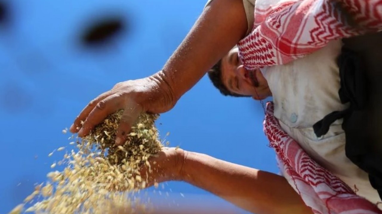 Yapılan yatırım karşılığını verdi! Rekoltede yüzde 100 artış