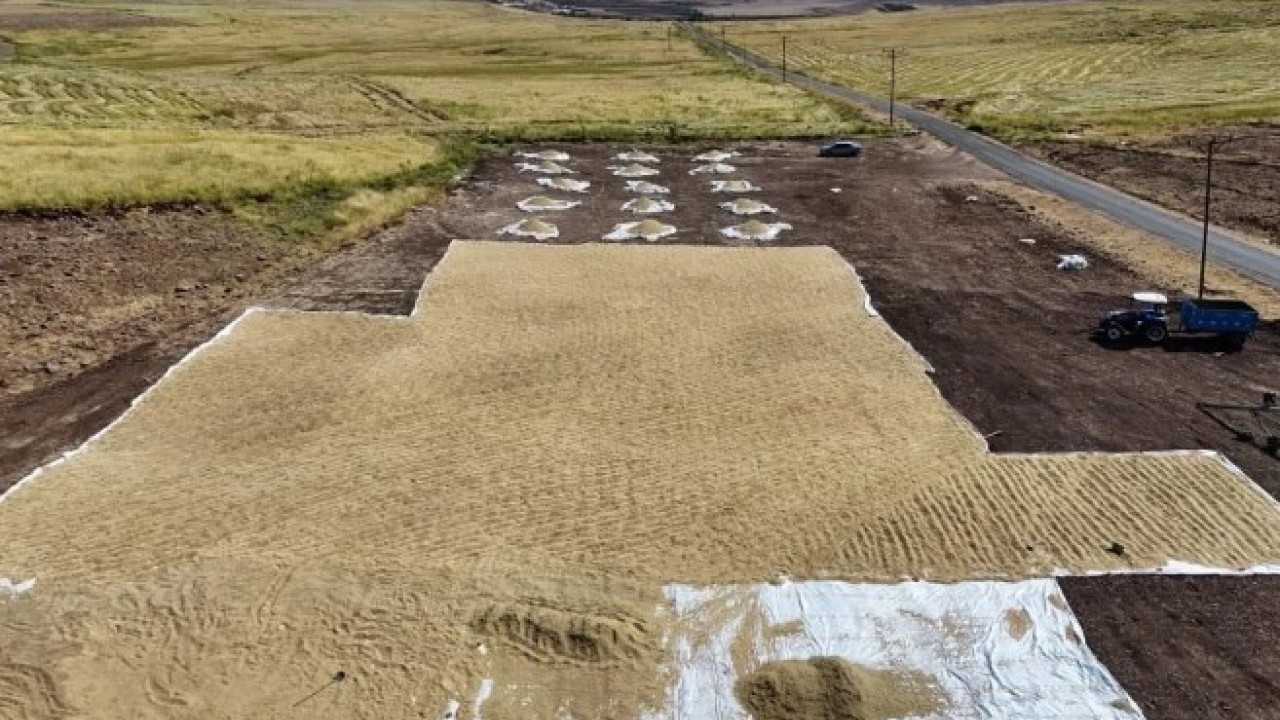 Foto - Yapılan yatırım karşılığını verdi! Rekoltede yüzde 100 artış