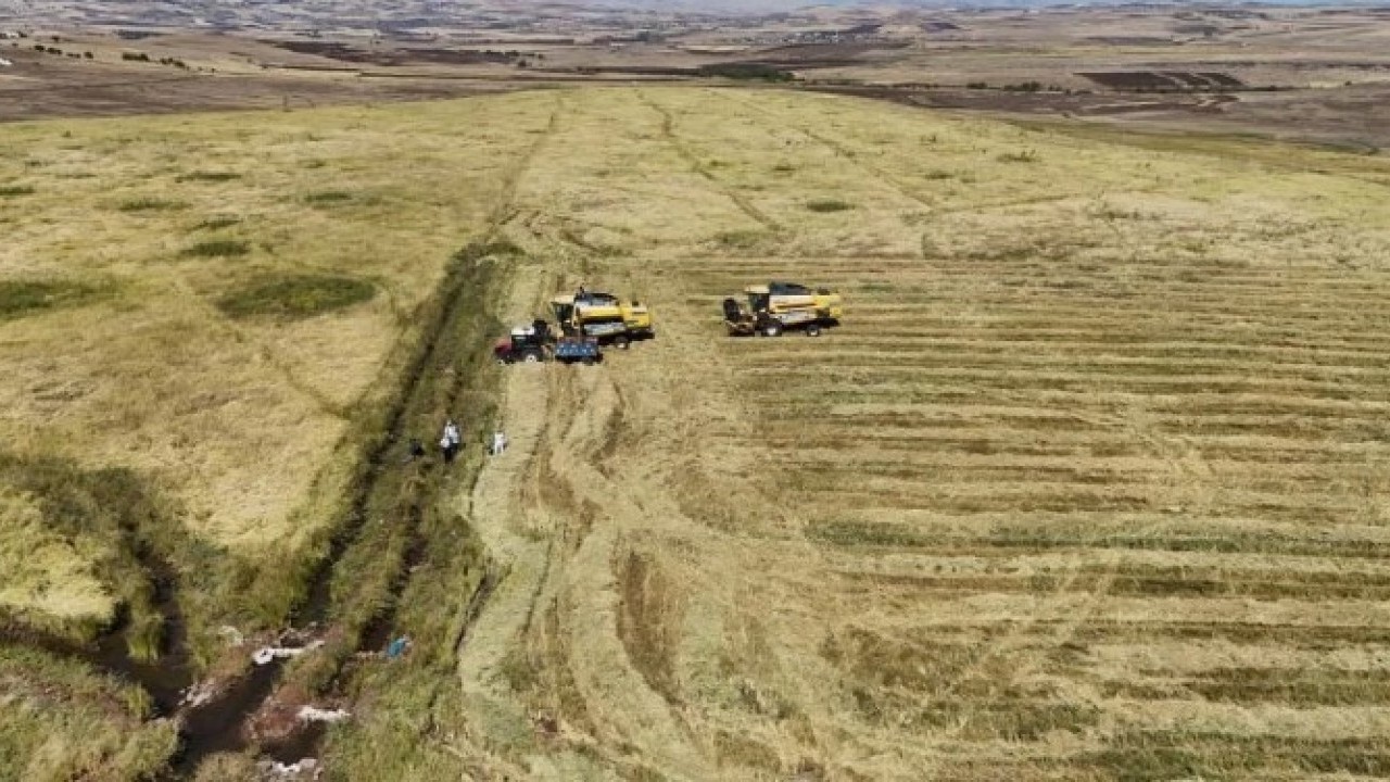 Foto - Yapılan yatırım karşılığını verdi! Rekoltede yüzde 100 artış