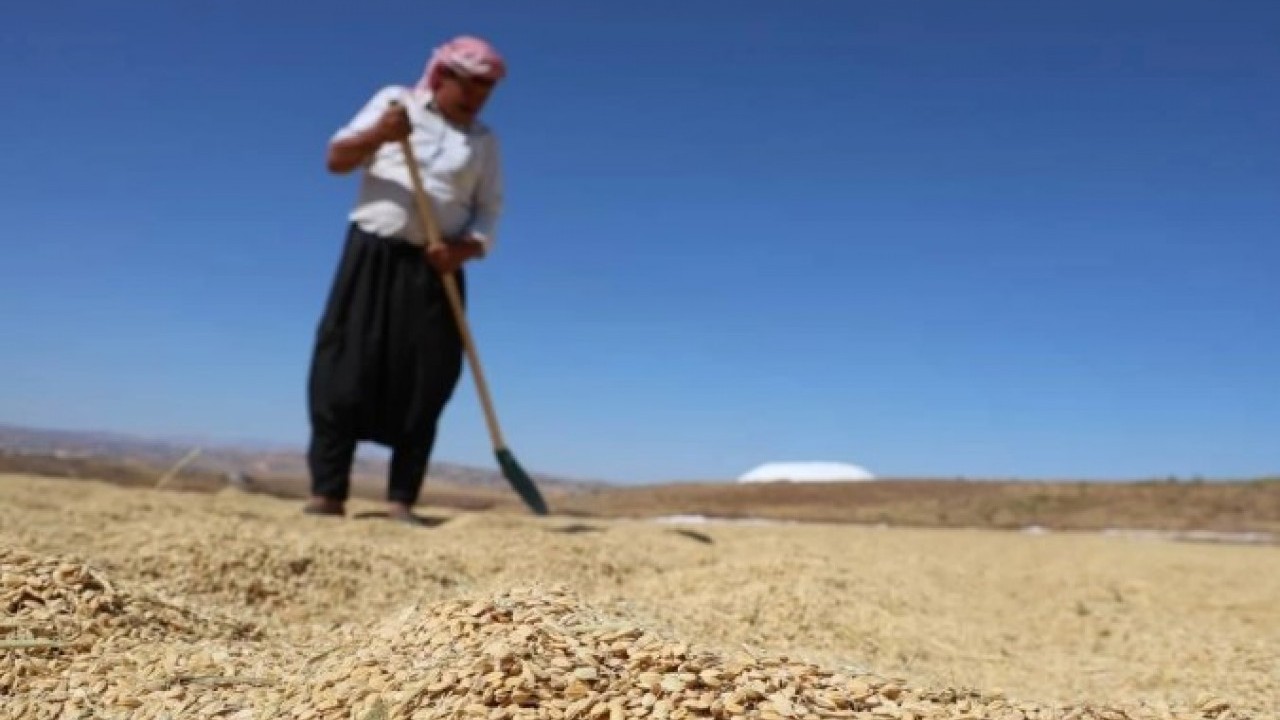 Foto - Yapılan yatırım karşılığını verdi! Rekoltede yüzde 100 artış