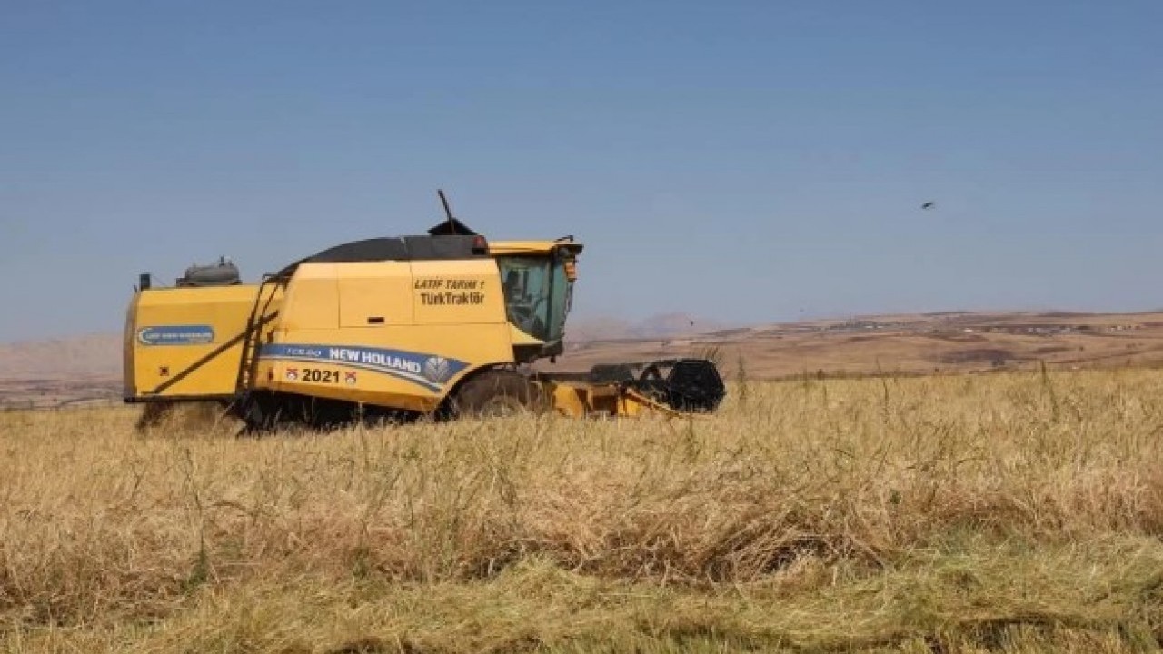 Foto - Yapılan yatırım karşılığını verdi! Rekoltede yüzde 100 artış