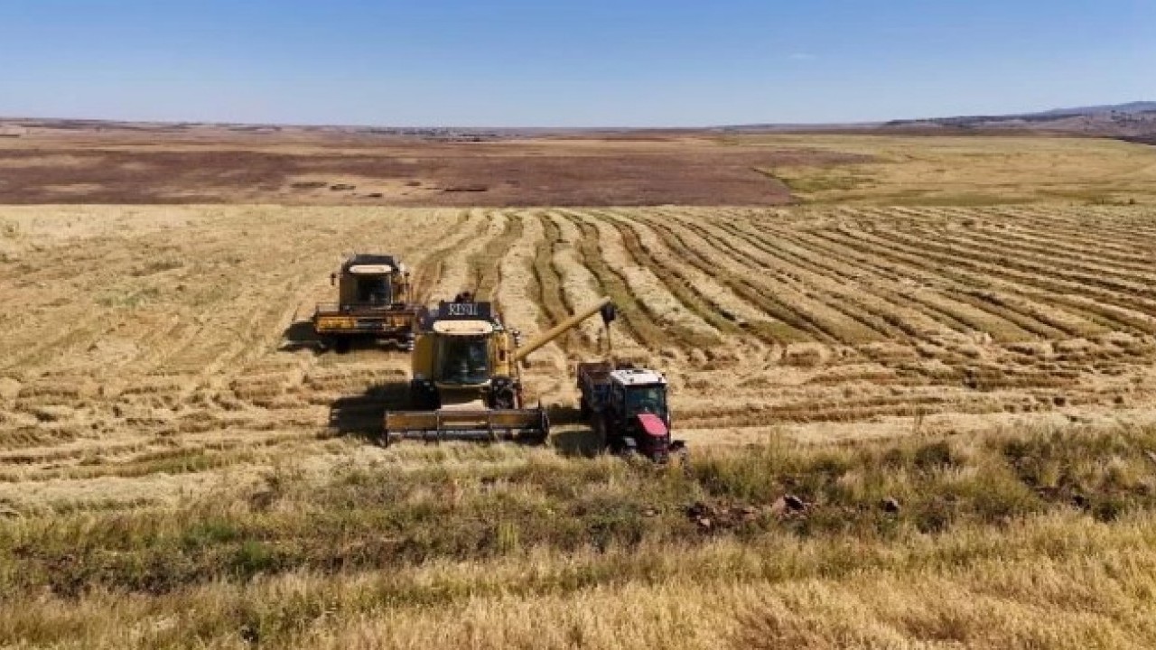 Foto - Yapılan yatırım karşılığını verdi! Rekoltede yüzde 100 artış