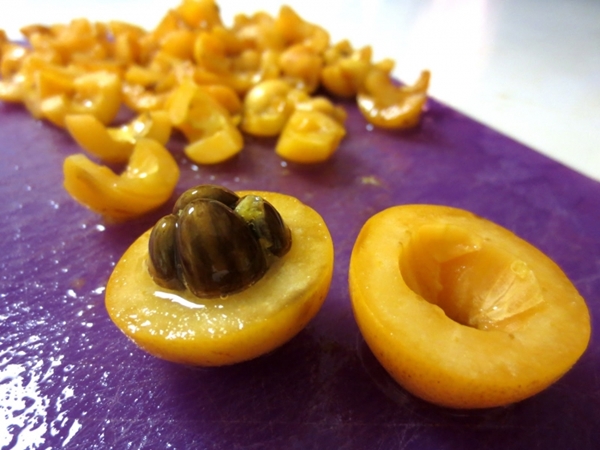 Foto - Yaprağı şeker hastalarına şifa oluyor!