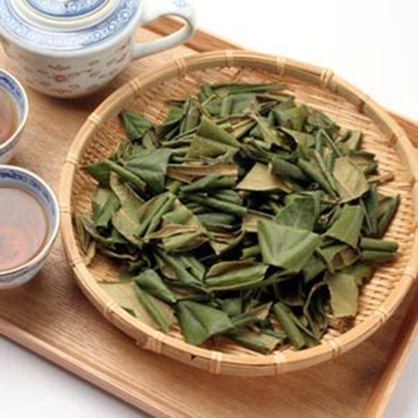 Foto - Yaprağı şeker hastalarına şifa oluyor!