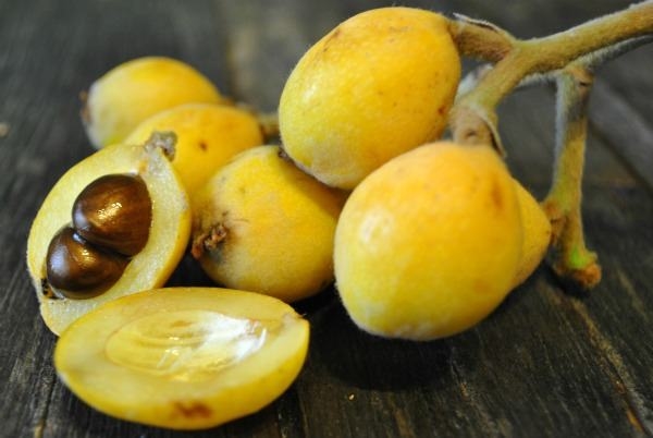 Foto - Yaprağı şeker hastalarına şifa oluyor!