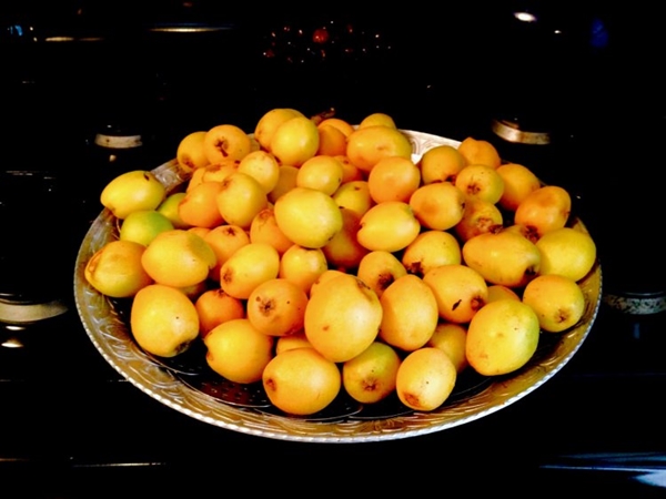 Foto - Yaprağı şeker hastalarına şifa oluyor!
