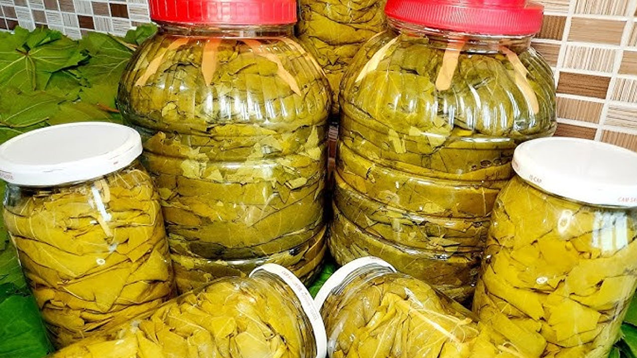 Yaprakları salamura yapacaklar dikkat! Tüm kış boyunca küflenmeden kalacak