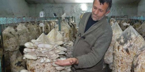 Yaptığı özel karışımla 3 ton ürün alıyor, hepsi onu tüketiyor! Tek başına resmen fabrika gibi çalışıyor! Sen ne yaptın böyle Veli abi