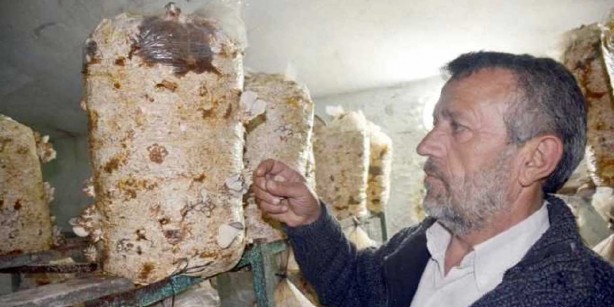 Foto - Yaptığı özel karışımla 3 ton ürün alıyor, hepsi onu tüketiyor! Tek başına resmen fabrika gibi çalışıyor! Sen ne yaptın böyle Veli abi