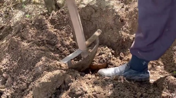 Foto - Yaptığına önce kimse inanmadı ama… "Satmaya kalksam Amerika bile ‘Allah Allah’ der"