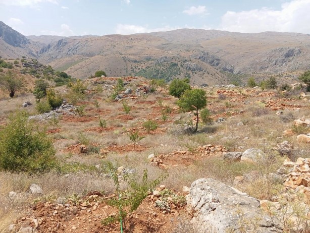 Foto - Yaptıklarıyla büyük ses getirdi! Duyan bu Erzincanlıyı ayakta alkışlıyor