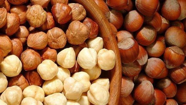 Foto - Yaraları daha hızlı ve etkili iyileştiren 9 besin