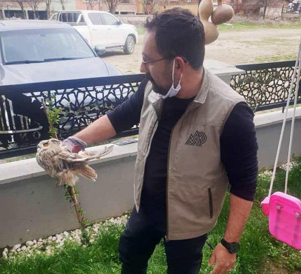 Foto - Yaralı baykuş tedavi altına alındı