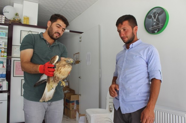 Foto - Yaralı bulduğu kartalı, köpek saldırısından kurtardı