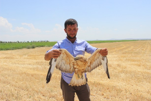 Foto - Yaralı bulduğu kartalı, köpek saldırısından kurtardı